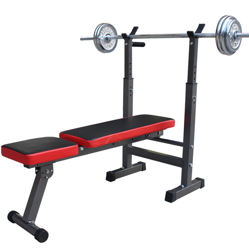 体育惠民风正劲 金牌路上显担当