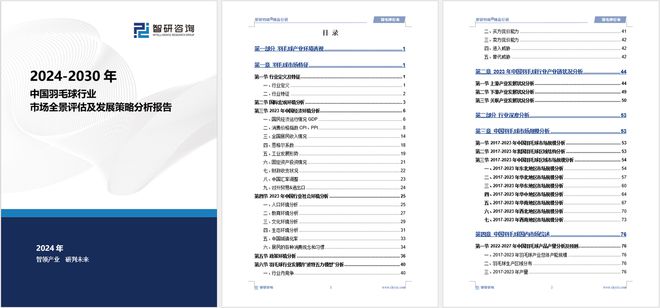 智研咨询报告：中国羽毛球行业市场规模、供需态势及发展前景研究(图5)
