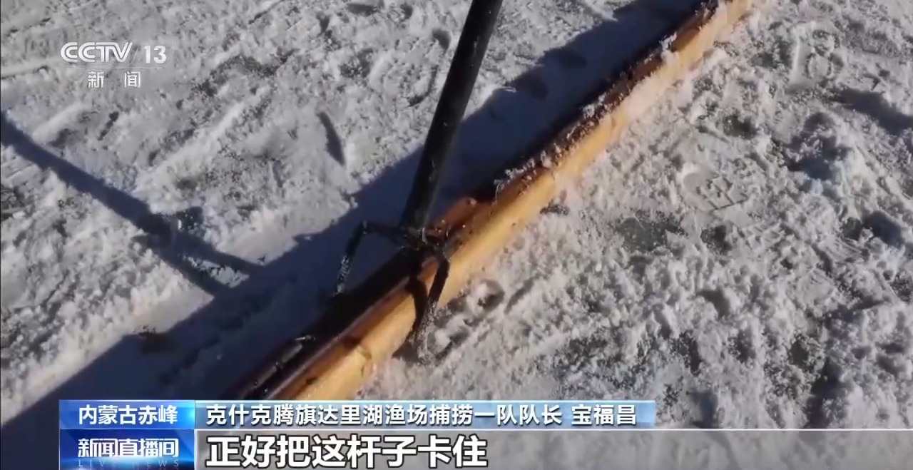 又是一年冬捕季！内蒙古、黑龙江冬捕活动火热进行中(图5)