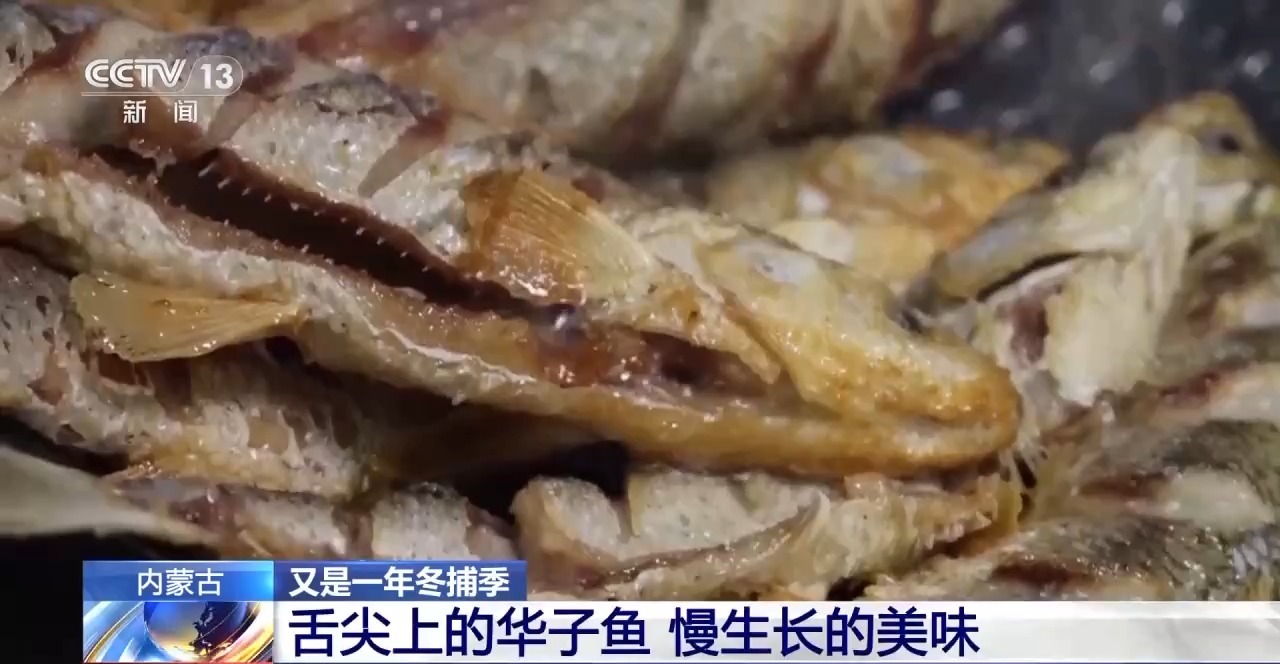 又是一年冬捕季！内蒙古、黑龙江冬捕活动火热进行中(图8)
