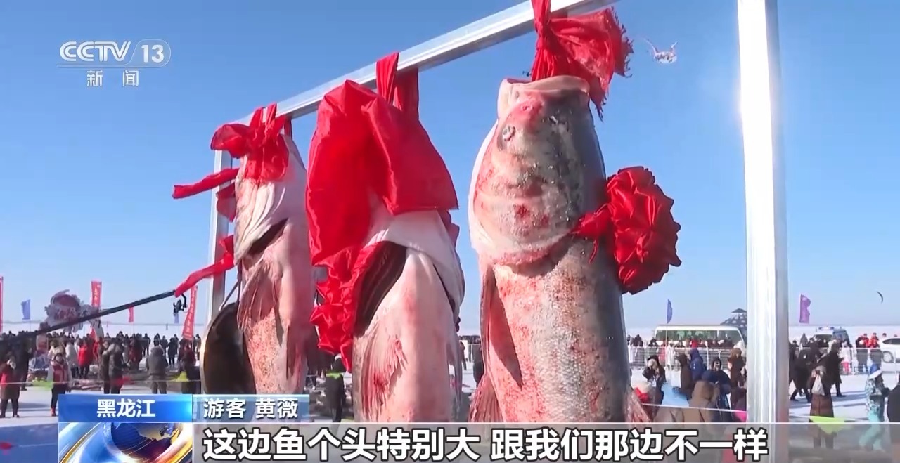 又是一年冬捕季！内蒙古、黑龙江冬捕活动火热进行中(图11)