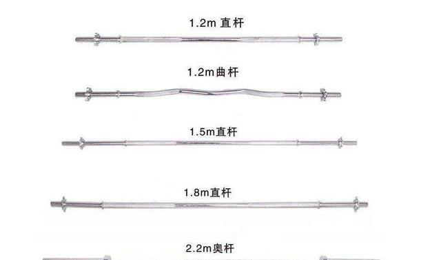 健身房杠铃杆多少公斤？分为哪几种？(图3)