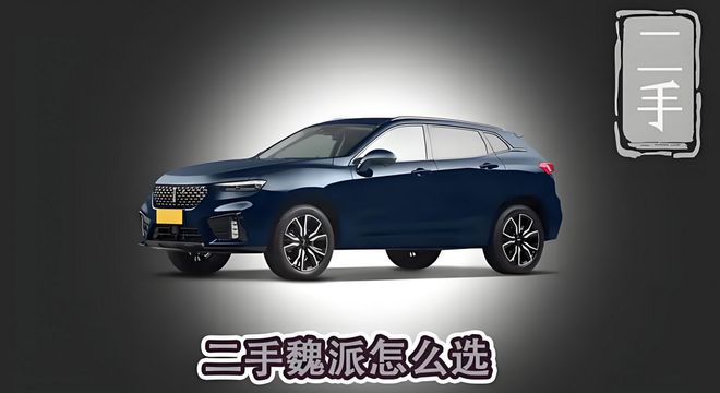 可把长城魏派蓝山给累“绿”了(图2)
