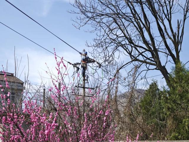 国网宝鸡市城区供电公司：春山如黛检修忙 银线织就振兴图(图4)