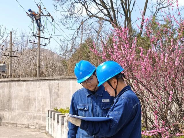 国网宝鸡市城区供电公司：春山如黛检修忙 银线织就振兴图(图6)
