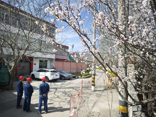 国网宝鸡市城区供电公司：春山如黛检修忙 银线织就振兴图