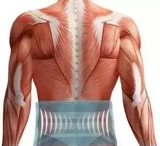 为啥经常练硬拉、深蹲的健身爱好者总是喜欢戴腰带？(图3)