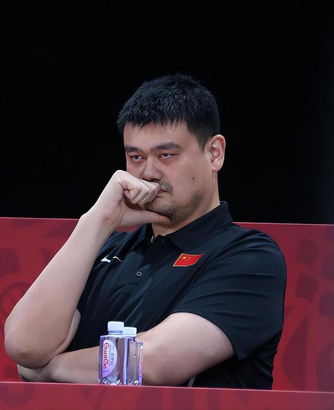 中国最有钱的5位运动员排行榜姚明勉强排第3第1名非他莫属(图11)