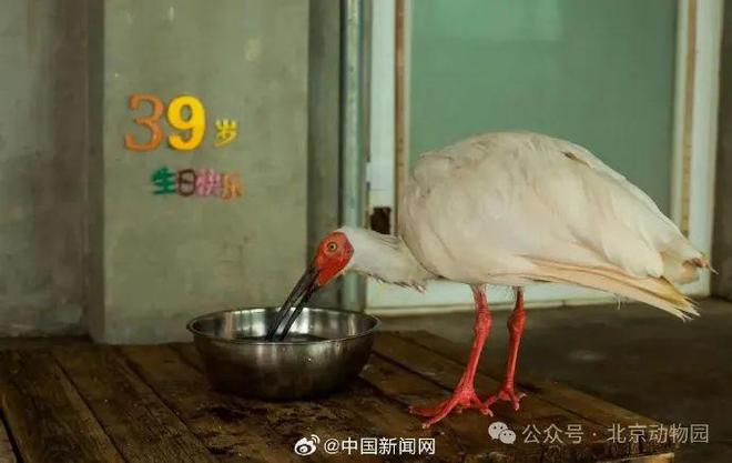 早读 预警！天津极端大风降温！深夜大涨！女演员自曝成植物人！奥运乒乓球金牌+1！特朗普又宣布！(图5)