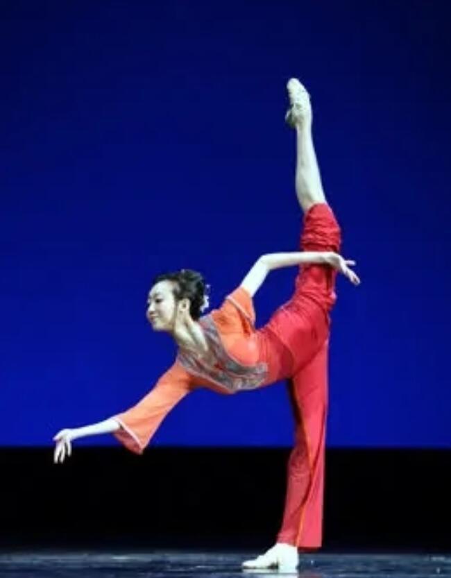 2008年她在奥运开幕式彩排时摔成瘫痪如今已是北舞教授(图12)