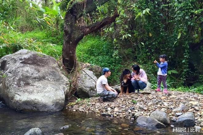 53岁朱茵黄贯中现身演唱会住深山残屋的她活成了现实版李子柒(图13)