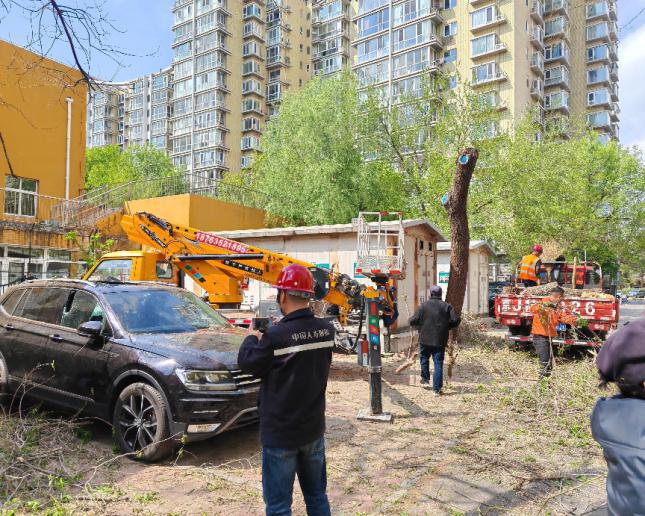 “这效率太让人省心了！” 大风灾害天气中的国寿守护(图4)