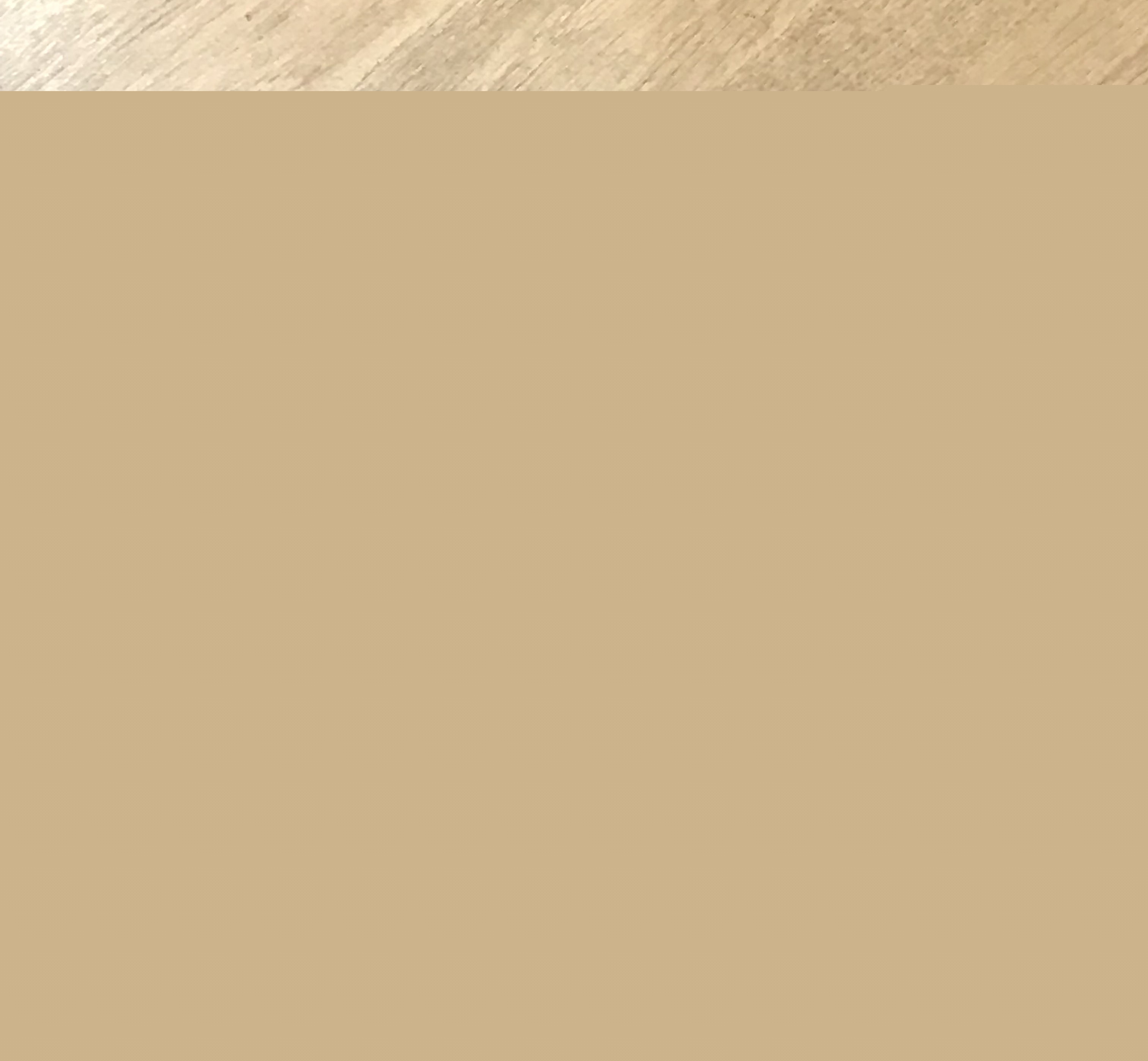 ANTAZERO安踏0碳使命店「绿动好乐Day」(图1)