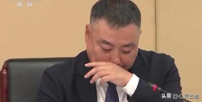 提前离场刘国梁在威海注册有17家公司辞职背后更多原因曝光(图4)