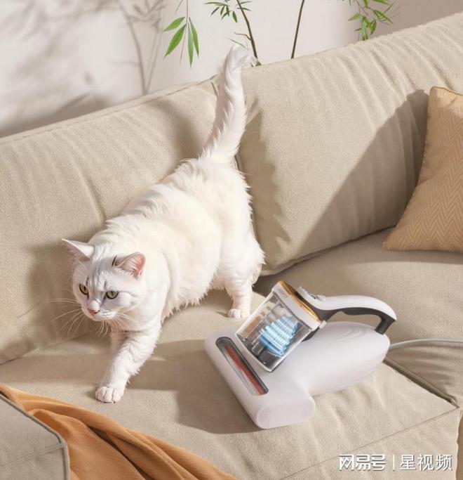 UWANT友望构建全屋除螨生态：从床垫到窗帘的360°健康防护(图2)