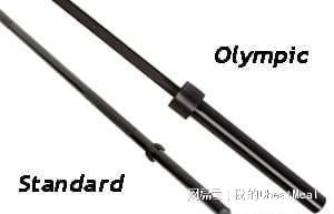 健身工具说｜杠铃有多少种？这12种杠铃助你玩转健身(图3)