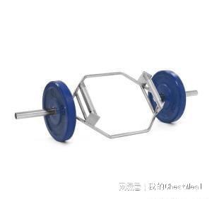 健身工具说｜杠铃有多少种？这12种杠铃助你玩转健身(图5)