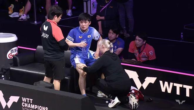 王楚钦丢冠后张本智和怒怼质疑声王皓被日本球员发文嘲讽！(图7)