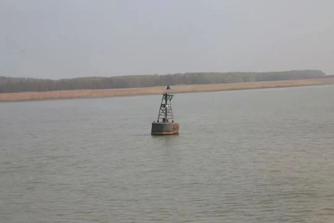 生态环境、公共安全……崇明这个团队办了很多好事！(图4)