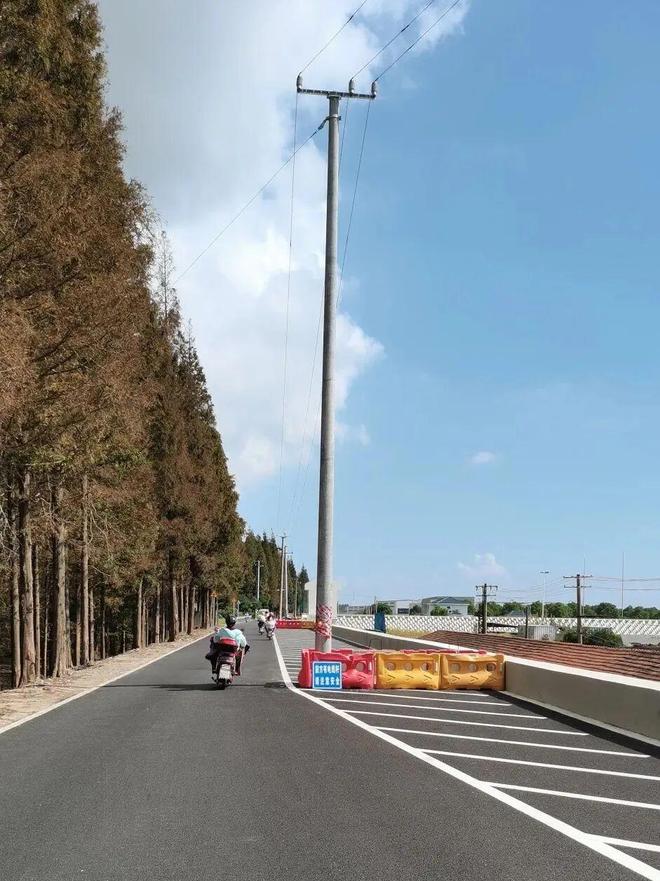 生态环境、公共安全……崇明这个团队办了很多好事！