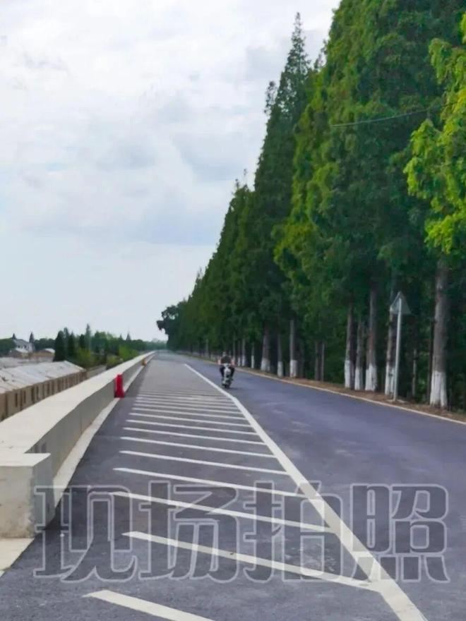 生态环境、公共安全……崇明这个团队办了很多好事！(图2)