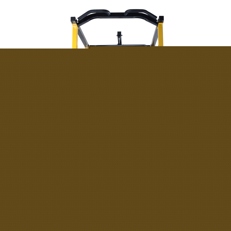 体育器械领域国家级专精特新“小巨人”企业达146家 制造业单项冠军企业15家(图1)