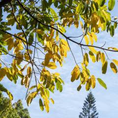 专业锻炼器材品牌有哪些(图4)