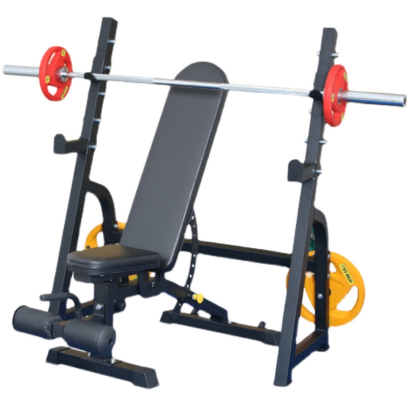 运动员退役转型：在新赛道续写体育荣光