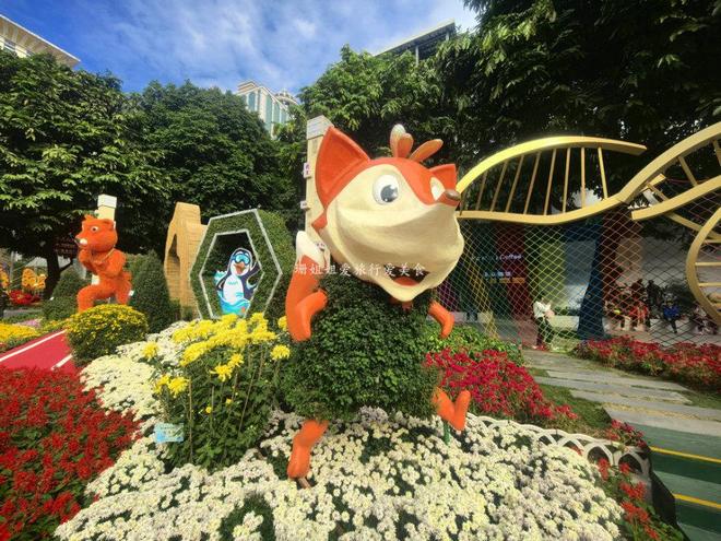 广州文化公园66届菊展藏秋冬浪漫气息延续全运会风情免费(图4)